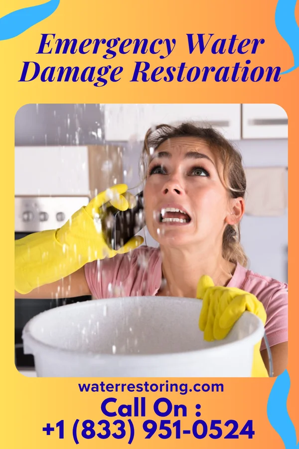 Emergency Water Damage Restoration in North Hartsville, SC