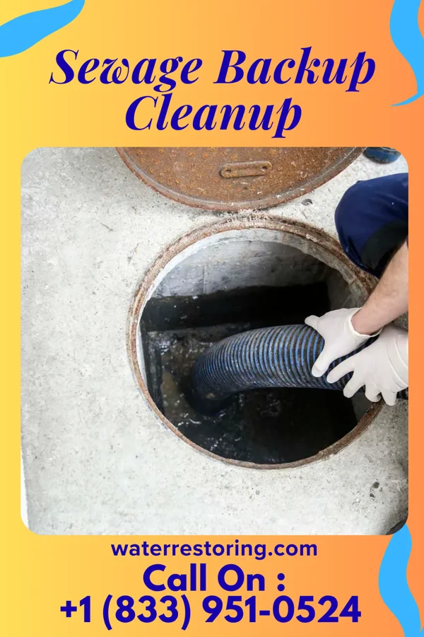 Sewage Backup Cleanup in North Hartsville, SC